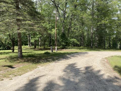 5873 Red Pine Dr Lewiston Mi 49756, Lewiston, MI 49756 photo 5