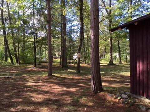 420 Vine St, Mio, MI 48647 photo 18