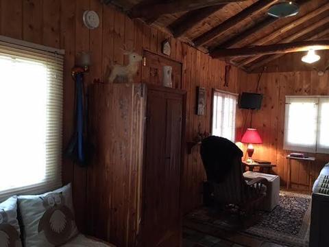 420 Vine St, Mio, MI 48647 photo 10