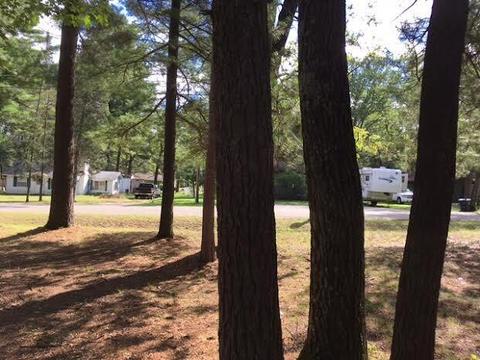 420 Vine St, Mio, MI 48647 photo 19