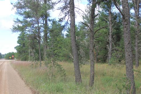 E M-72 Highway, Grayling, MI 49738