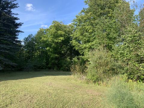 2055 Steiner Road Comins Mi 48619 Rd, Comins, MI 48619 photo 3