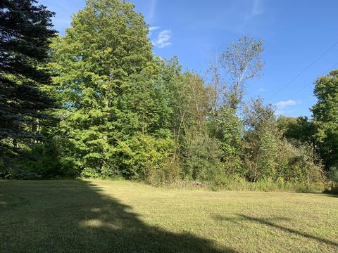 2055 Steiner Road Comins Mi 48619 Rd, Comins, MI 48619 photo 1