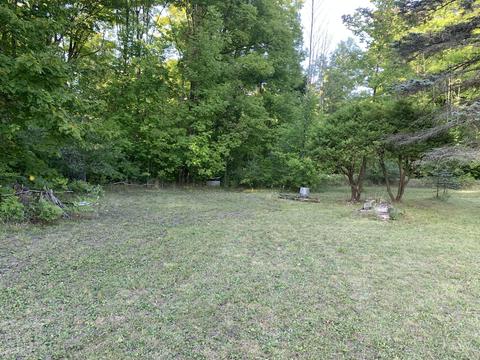 2055 Steiner Road Comins Mi 48619 Rd, Comins, MI 48619 photo 4