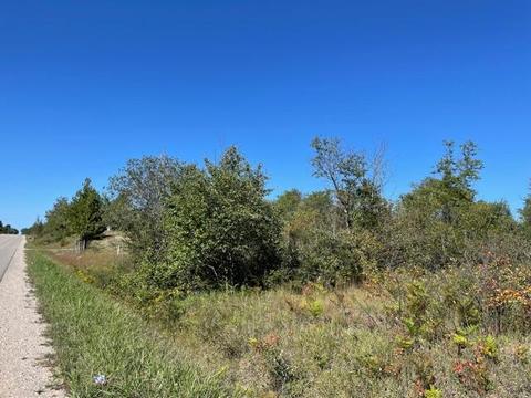 15469 Molineaux Road Wolverine Mi 49799 Rd, Wolverine, MI 49799 photo 3