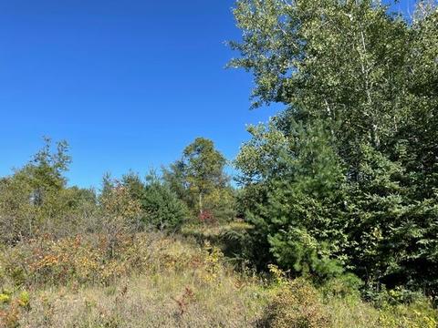 15469 Molineaux Road Wolverine Mi 49799 Rd, Wolverine, MI 49799 photo 1