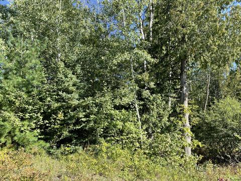15469 Molineaux Road Wolverine Mi 49799 Rd, Wolverine, MI 49799 photo 4