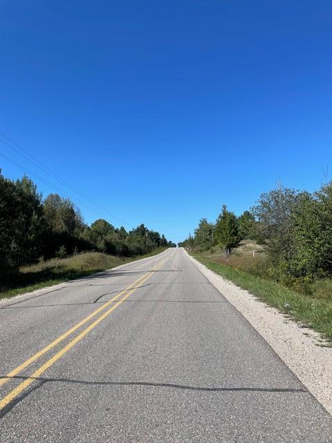 15469 Molineaux Road Wolverine Mi 49799 Rd, Wolverine, MI 49799 photo 5
