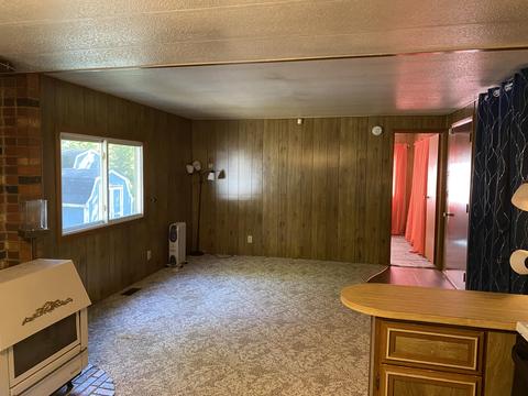 12089 Bilder Rd, Wolverine, MI 49799 photo 5