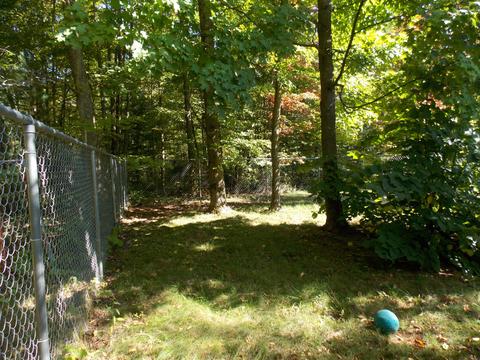12089 Bilder Rd, Wolverine, MI 49799 photo 40