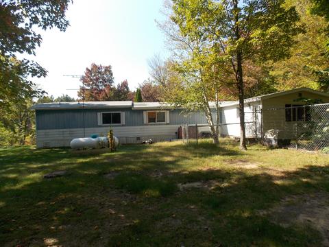 12089 Bilder Rd, Wolverine, MI 49799 photo 3