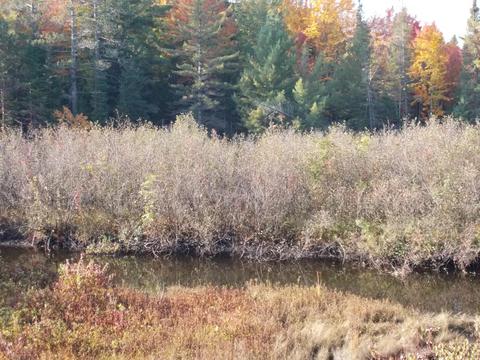 121 Ausable River Trl, Roscommon, MI 48653 photo 30