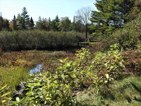 121 Ausable River Trl, Roscommon, MI 48653 photo 25