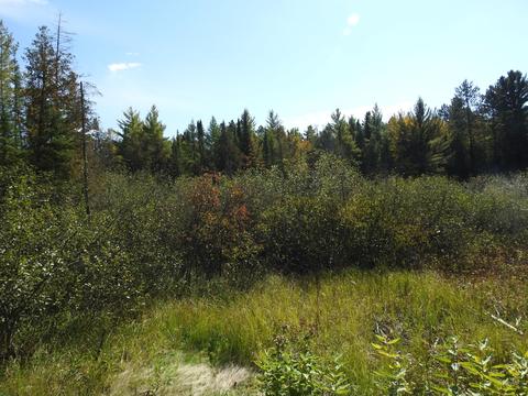 121 Ausable River Trl, Roscommon, MI 48653 photo 26