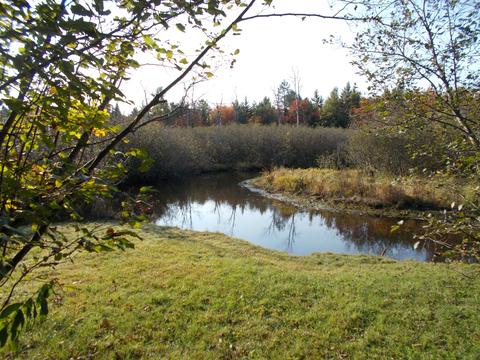 121 Ausable River Trl, Roscommon, MI 48653 photo 32