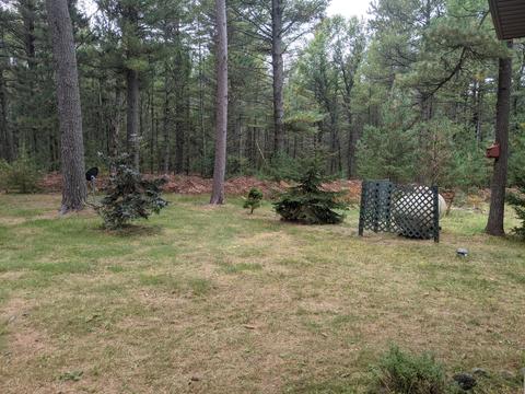 4329 Ryan Ln, Grayling, MI 49738 photo 91