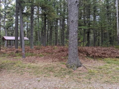 4329 Ryan Ln, Grayling, MI 49738 photo 84