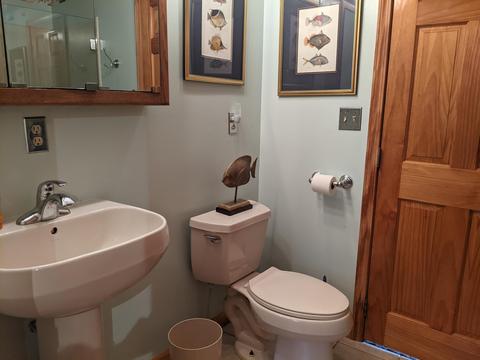 4329 Ryan Ln, Grayling, MI 49738 photo 34