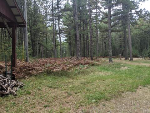 4329 Ryan Ln, Grayling, MI 49738 photo 86