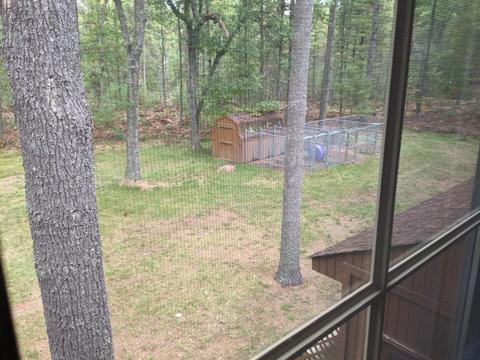 4329 Ryan Ln, Grayling, MI 49738 photo 67