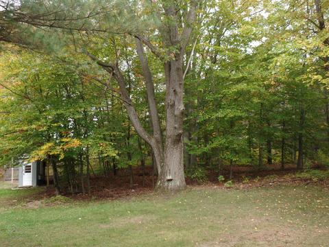 1846 N Abbe Rd, Fairview, MI 48621 photo 10