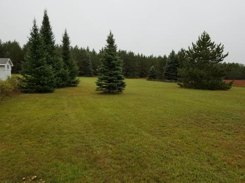 4722 M-33, Comins, MI 48619 photo 9