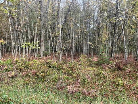 lot32 Hidden Hills Houghton Lake Mi 48629, Houghton Lake, MI 48629