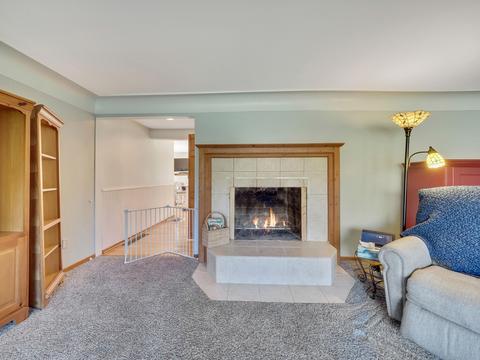 7853 Fulmer Rd, Wolverine, MI 49799 photo 14