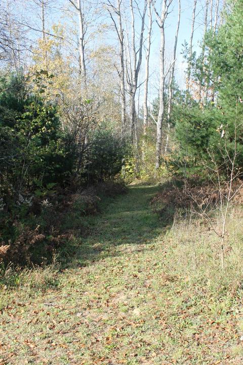 8126 N Petersen Road Frederic Mi 49733 Rd, Frederic, MI 49733 photo 63