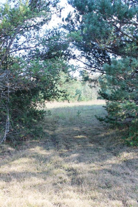 8126 N Petersen Road Frederic Mi 49733 Rd, Frederic, MI 49733 photo 52