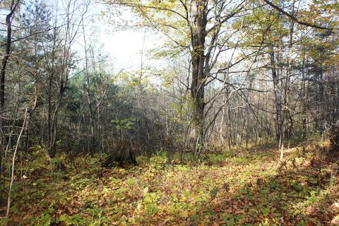 8126 N Petersen Road Frederic Mi 49733 Rd, Frederic, MI 49733 photo 61