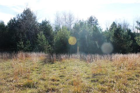 8126 N Petersen Road Frederic Mi 49733 Rd, Frederic, MI 49733 photo 50