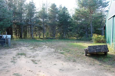 8126 N Petersen Road Frederic Mi 49733 Rd, Frederic, MI 49733 photo 47