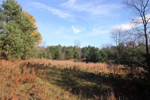 8126 N Petersen Road Frederic Mi 49733 Rd, Frederic, MI 49733 photo 62