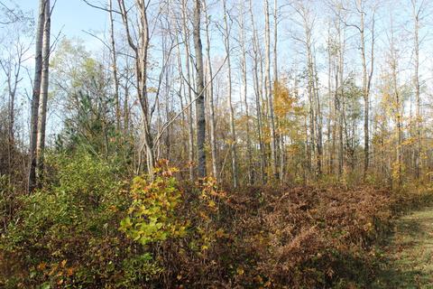 8126 N Petersen Road Frederic Mi 49733 Rd, Frederic, MI 49733 photo 60