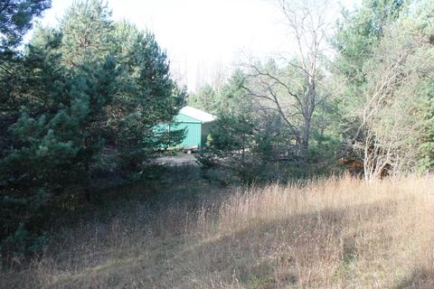 8126 N Petersen Road Frederic Mi 49733 Rd, Frederic, MI 49733 photo 48