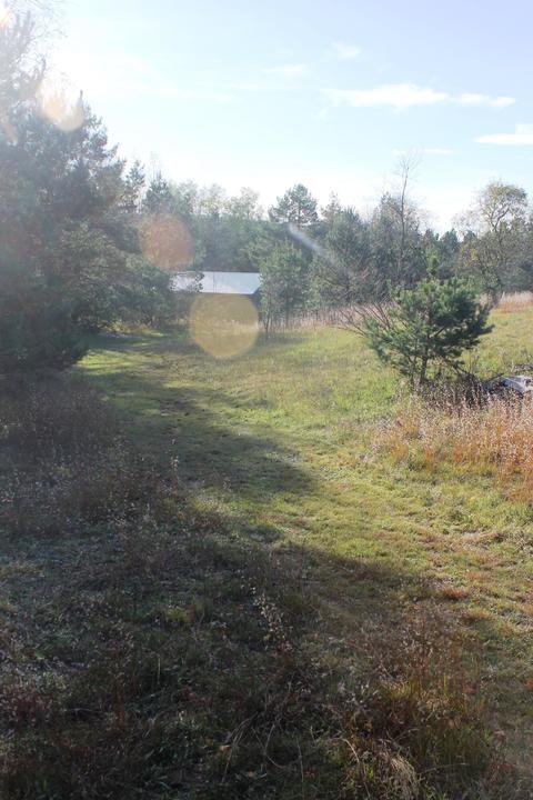 8126 N Petersen Road Frederic Mi 49733 Rd, Frederic, MI 49733 photo 56