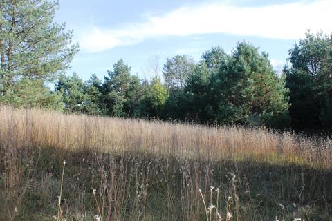 8126 N Petersen Road Frederic Mi 49733 Rd, Frederic, MI 49733 photo 49