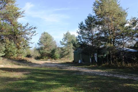 8126 N Petersen Road Frederic Mi 49733 Rd, Frederic, MI 49733 photo 64
