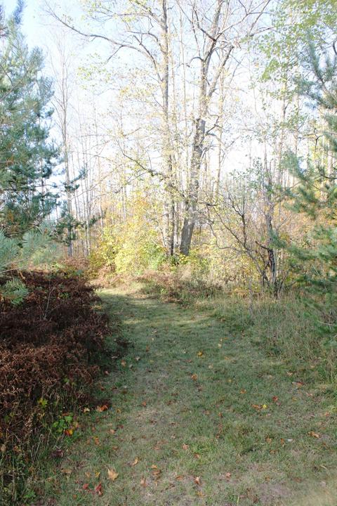 8126 N Petersen Road Frederic Mi 49733 Rd, Frederic, MI 49733 photo 58