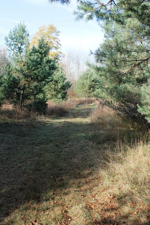 8126 N Petersen Road Frederic Mi 49733 Rd, Frederic, MI 49733 photo 55