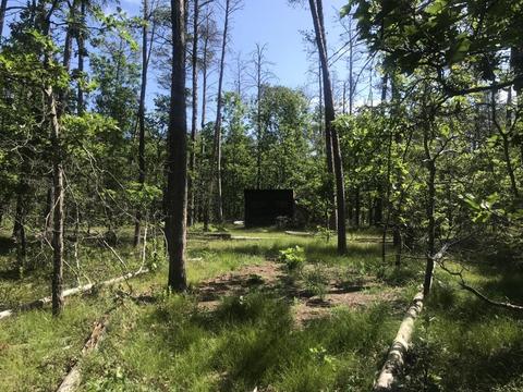 2866 Green Tree Dr, Grayling, MI 49738 photo 17