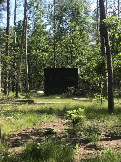 2866 Green Tree Dr, Grayling, MI 49738 photo 2