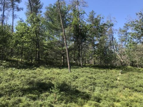 2866 Green Tree Dr, Grayling, MI 49738 photo 18