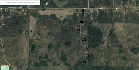 2866 Green Tree Dr, Grayling, MI 49738 photo 19