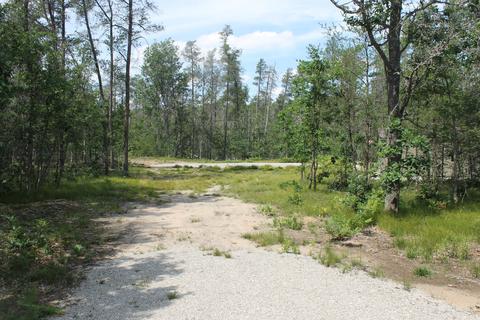 2866 Green Tree Dr, Grayling, MI 49738 photo 16