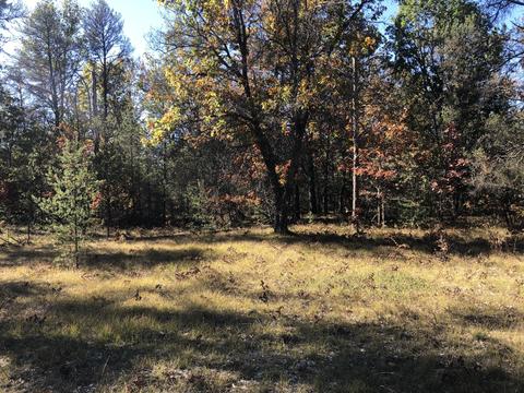 4773 Wilderness Trail Grayling Mi 49738 Trl, Grayling, MI 49738 photo 5