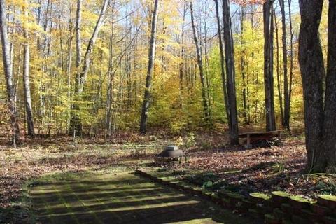 9357 E Deltoid Trl, Frederic, MI 49733 photo 5