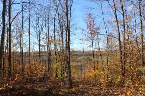 9357 E Deltoid Trl, Frederic, MI 49733 photo 4