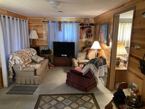 10422 Ford Drive St Helen Mi 48656 Dr, Saint Helen, MI 48656 photo 3